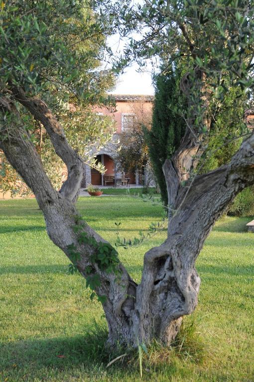 Relais Le Ginestre Βίλα Saturnia Εξωτερικό φωτογραφία